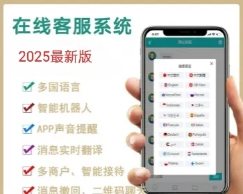 【2026国际二十种语言防黑外贸版】多商户无限坐席在线客服系统源码|带机器人带翻译|