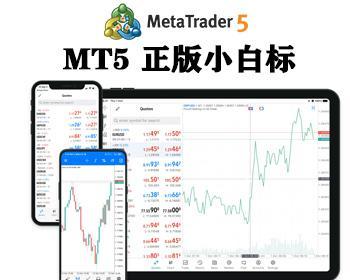 MT5申请搭建/MT4/FX6/ZA7/ST5/ST7和mt5搭建最完善外汇白标主标crm系统平台源码出售