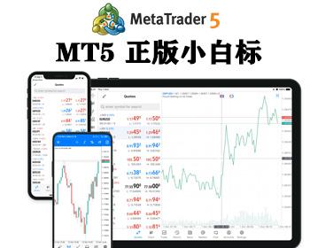 包mt5搭建MT4软件系统MT5软件CRM系统搭建插件外汇白标主标crm系统