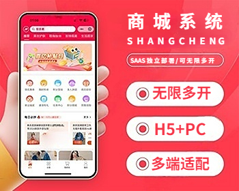 SAAS独立部署版运营级无限多开单商户商城分销拼团积分商城砍价秒杀门店自提全开源系统